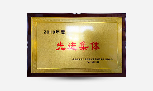 授予：2019年度先進集體